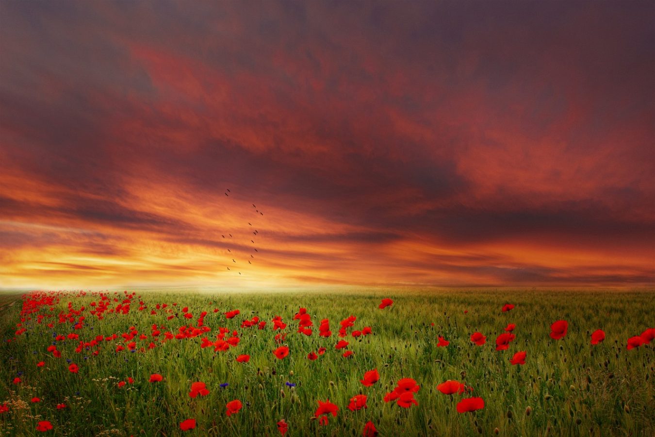 landscape-5196367_1280